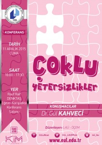 Coklu-yetersizlikler