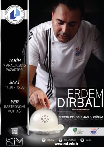 ErdemDIRBALI
