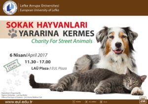 sokak-hayvanlari-yararina-kermes