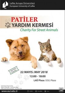 patiler-yardim-kermesi